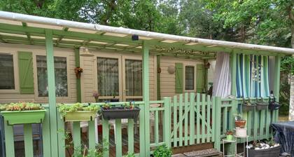 Le Gaoucher 2* Mobilhome near the forest and lake Leon