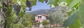 Property grounds - Private Umbrian Retreat with Pool near Marmore Falls • Sleeps 11 (Ferentillo)