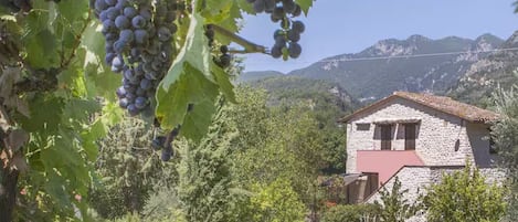 Terrain de lâhĂ©bergement