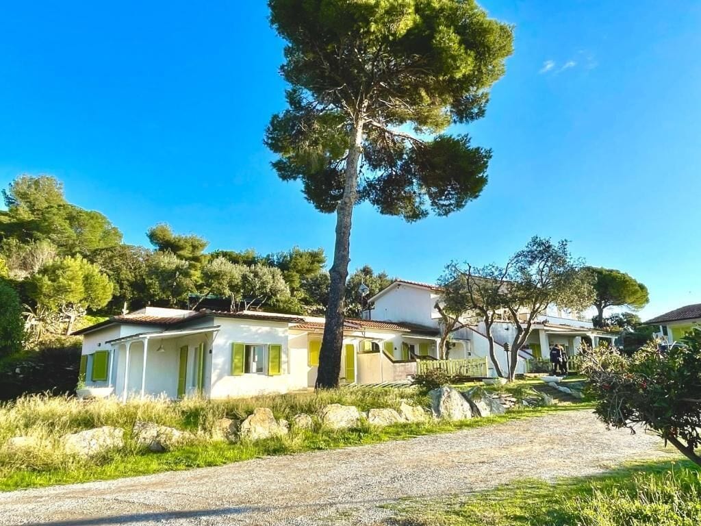 A house with a gravel driveway, surrounded by greenery and trees.