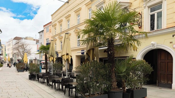 A street with outdoor seating, palm trees, and buildings with classical architecture. - Limehome Wels Old Town (Wels)