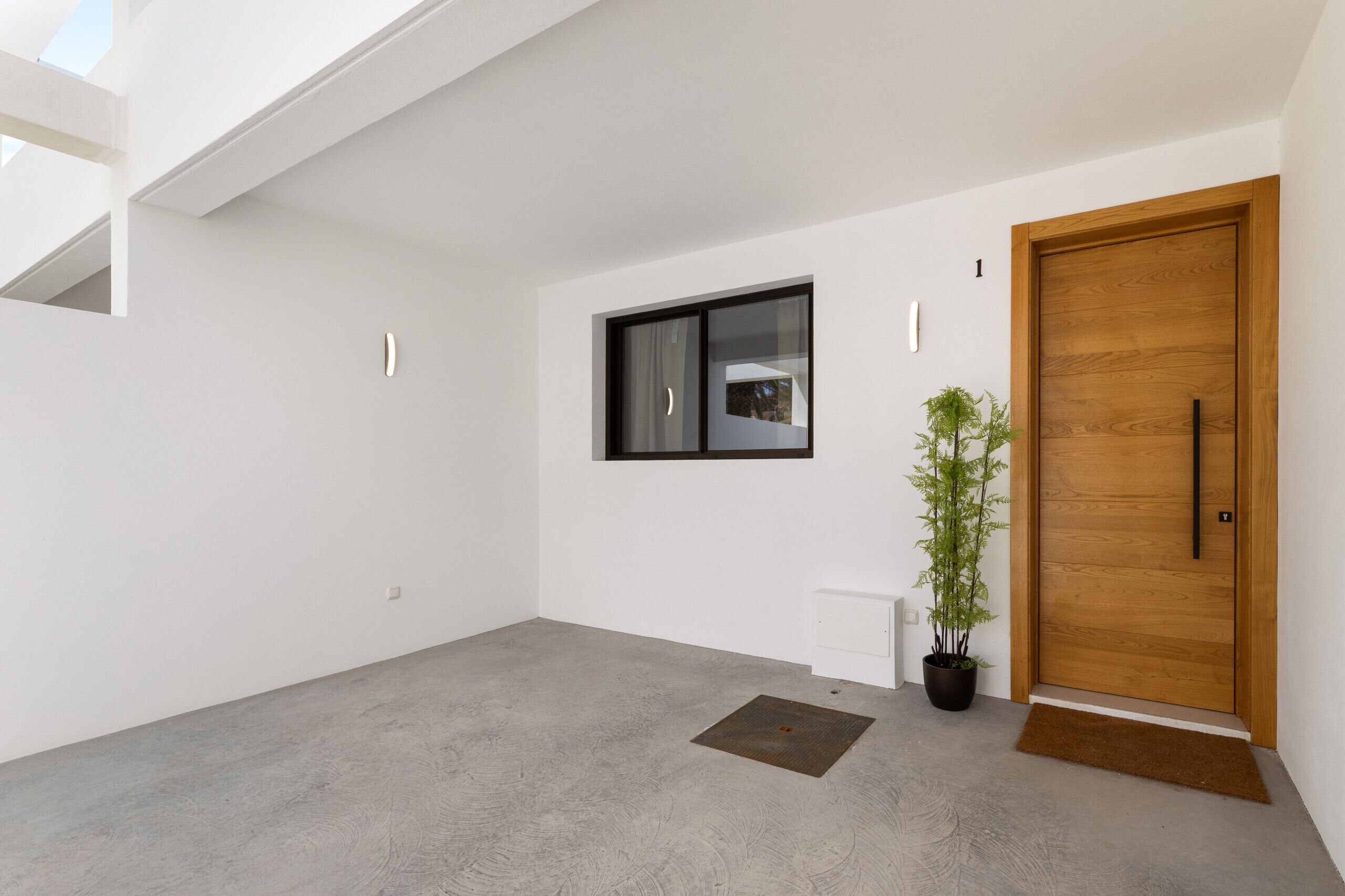 A modern interior with a wooden door, a potted plant, and a concrete floor.