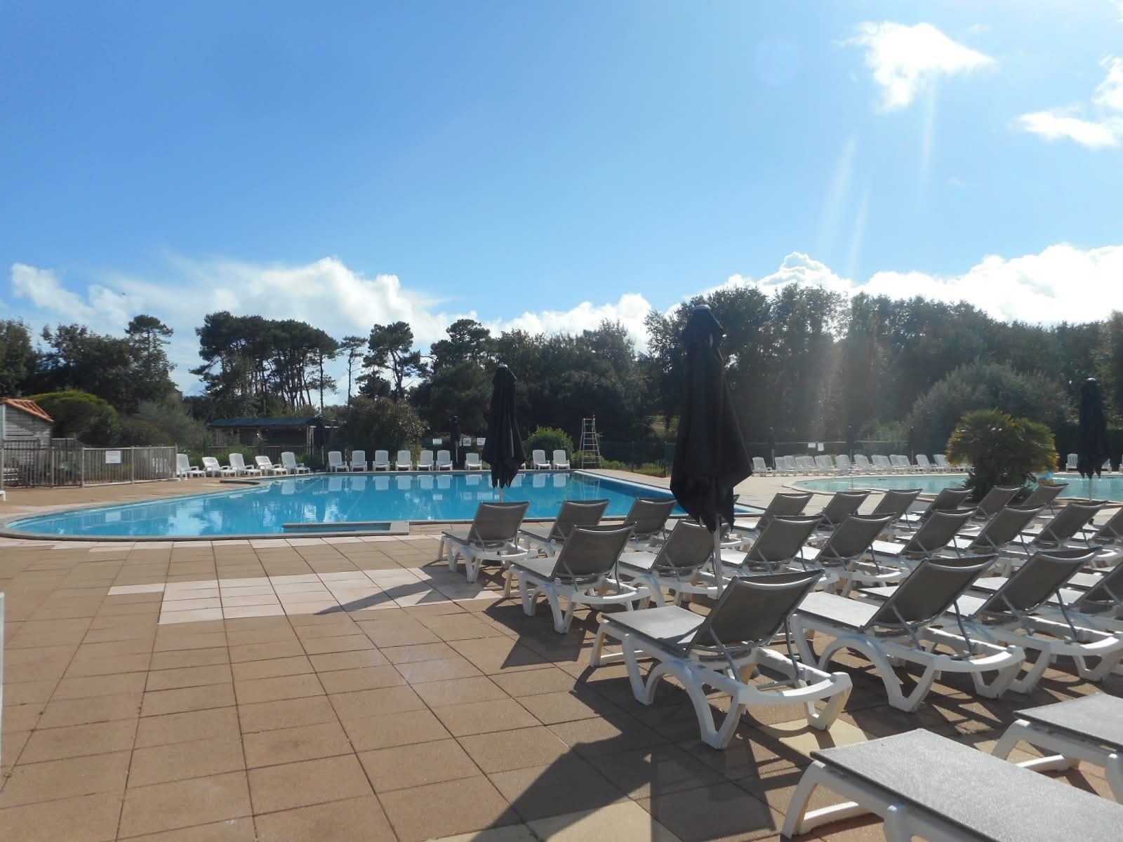 En swimmingpool med liggestole og parasoller, omgivet af træer og en klar himmel.