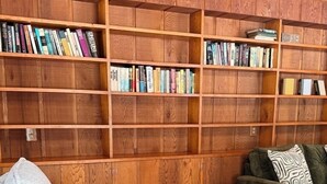 A cozy living room with a wooden bookshelf, a grey armchair, a green sofa, and a small table with a plant. - 4BR house in Cheboygan with a game room and a private boat slip nearby (Cheboygan)