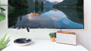 A flat-screen TV mounted on a wall, a small potted plant, and a decorative speaker on a white surface.