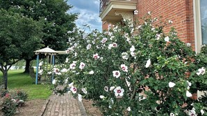 A brick building with a garden pathway leading to a gazebo. - Rising Hall B&B (Coatesville)