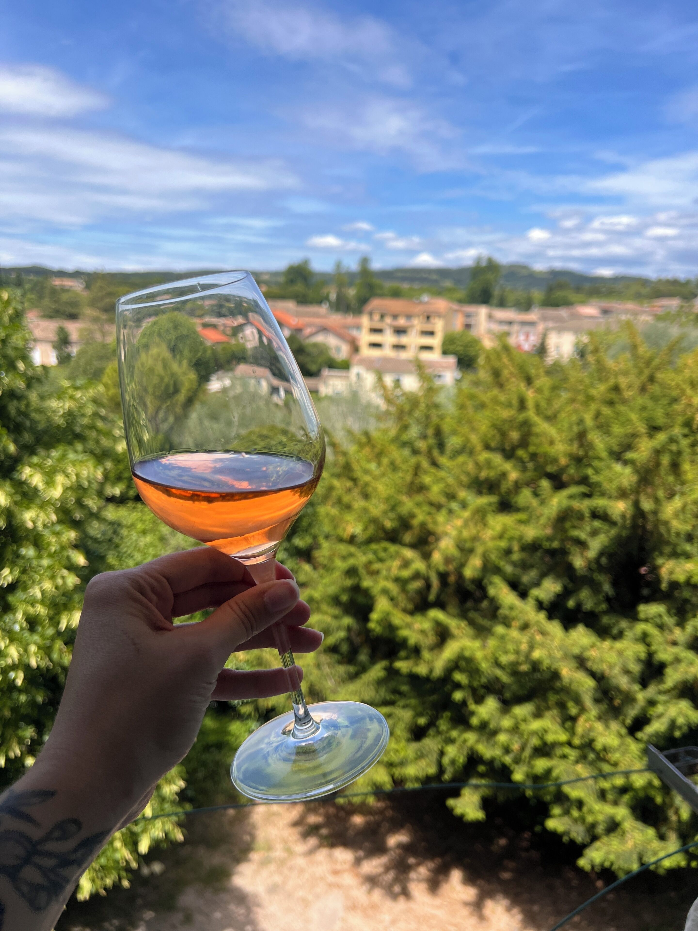 A hand holding a wine glass with a view of a vineyard and buildings in the background.