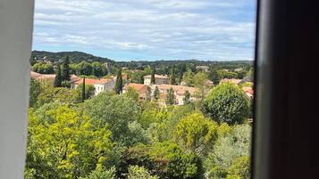 Une vue à travers une fenêtre, avec un ciel dégagé, une variété d’arbres et des bâtiments visibles au loin.
