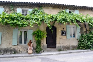 Exterior detail - La Maison de Vaison (Vaison-la-Romaine)