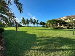 Property grounds -  DUAL Ocean Views! Beachfront Gem • Pool, Hot Tub • Steps to Sand & Dining (Christiansted)
