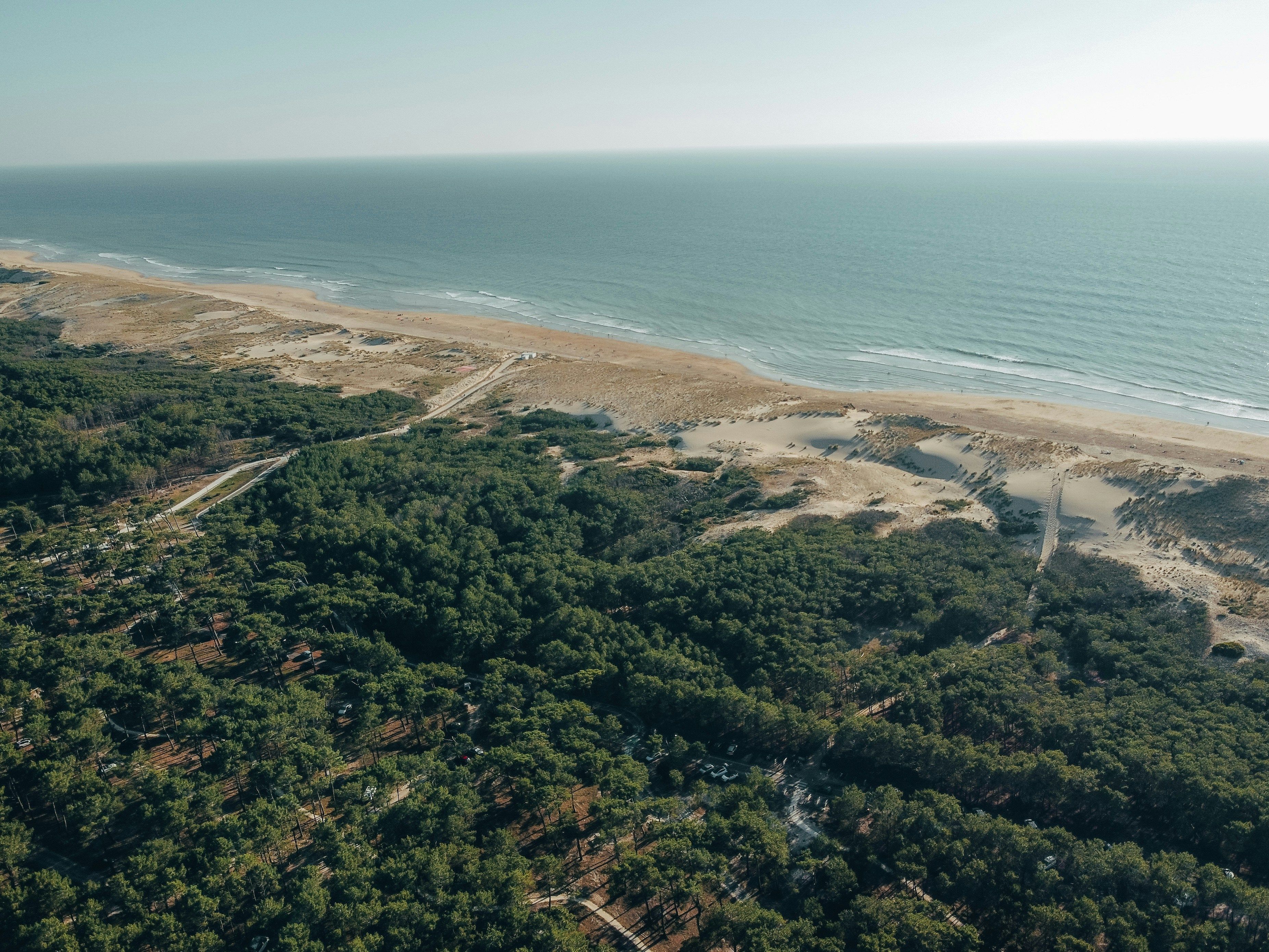 Luchtbeeld van een kustgebied met dicht bos, een zandstrand en een helder uitzicht op de oceaan.