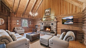 TV, fireplace, books