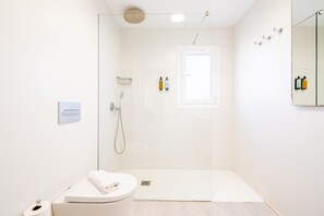 Dusche, Haartrockner, Handtücher