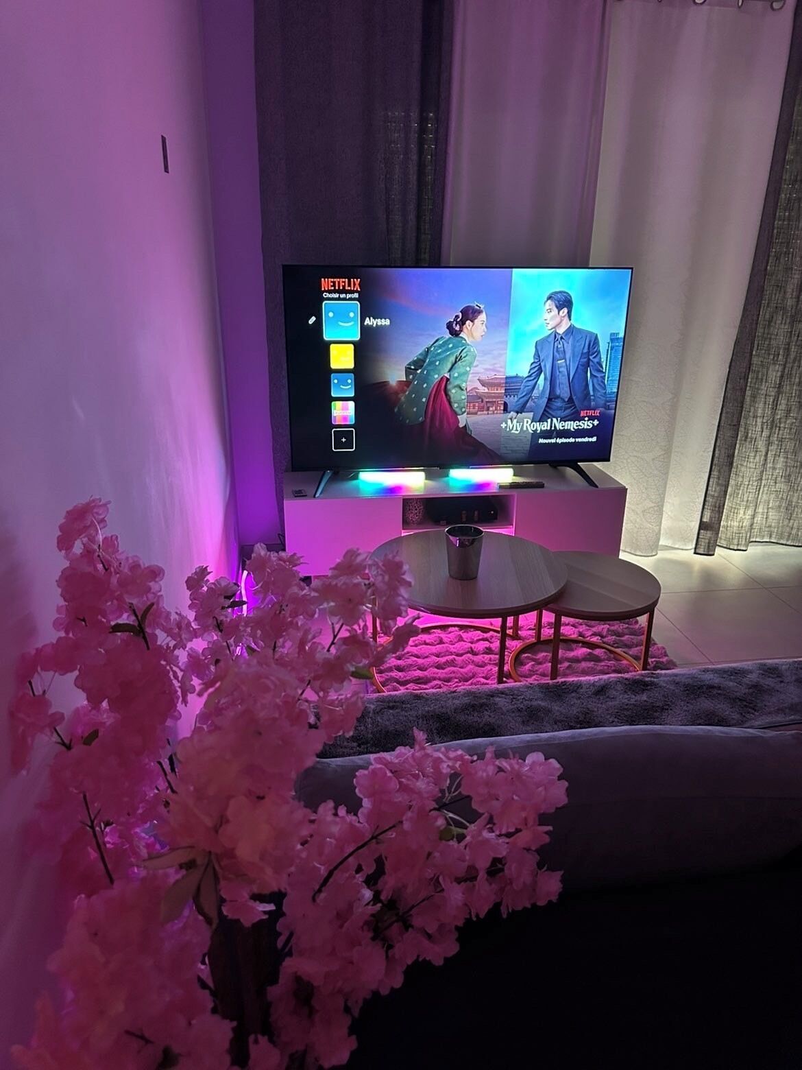 Ein Fernseher zeigt eine Netflix-Oberfläche mit der Sendung 'My Royal Nemesis+'.