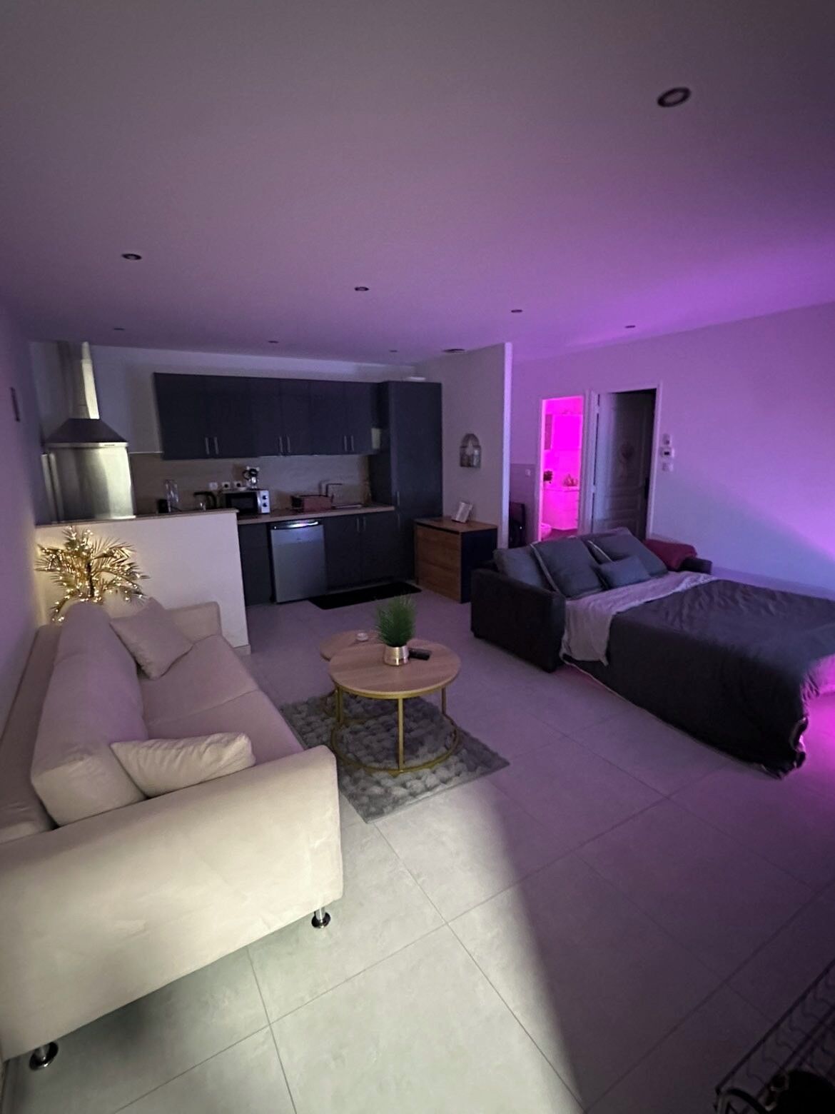 Una sala moderna con un sofá, una mesa de centro y una cama. Se observa una zona de cocina con armarios y una estufa.