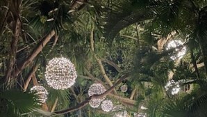 Ein Weg durch einen Garten mit hängenden, kugelförmigen Lichtern.