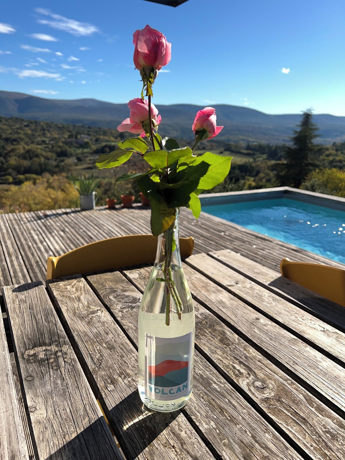 Imagen de perfil del propietario o de la propietaria