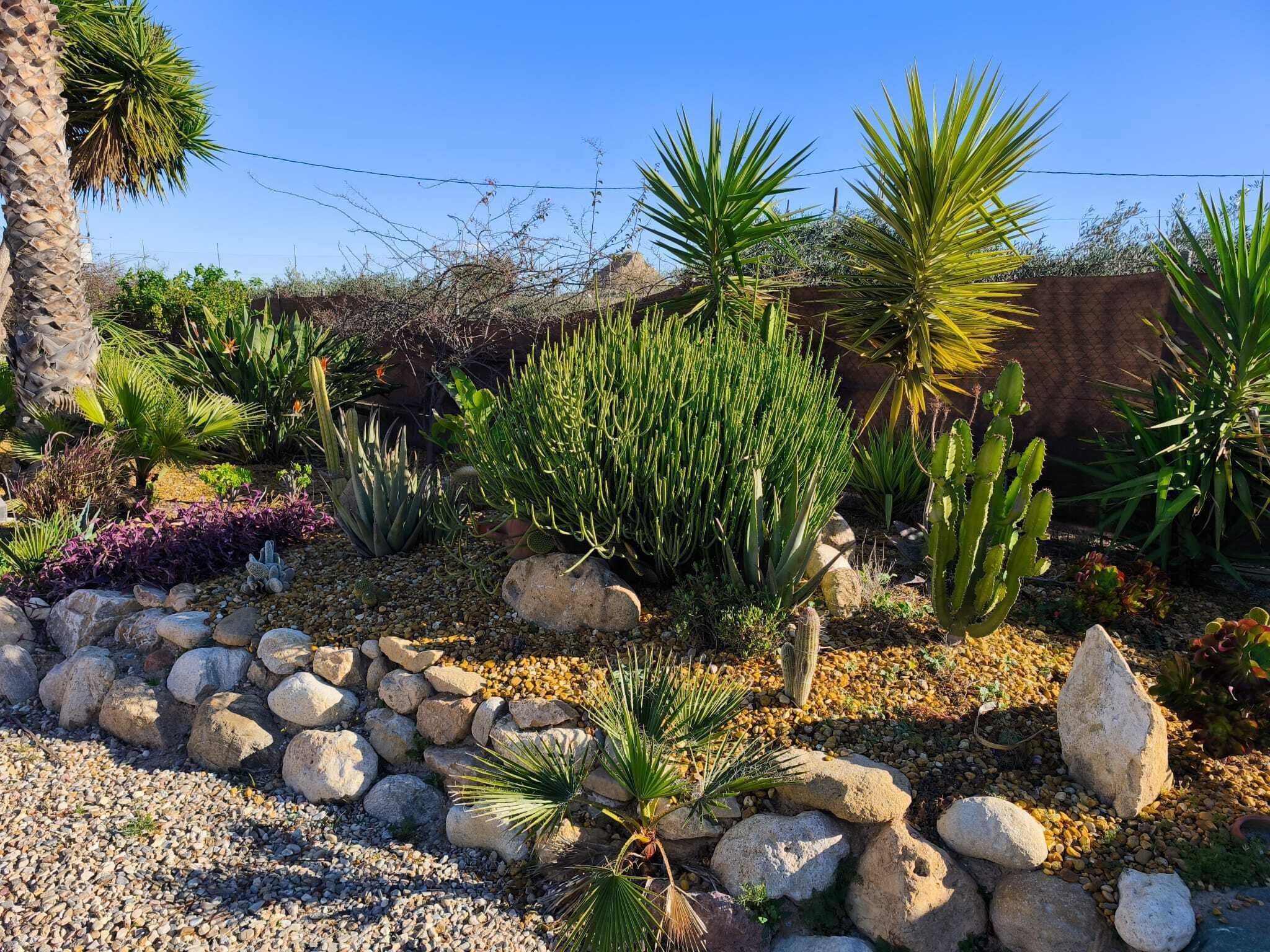 Jardines del alojamiento