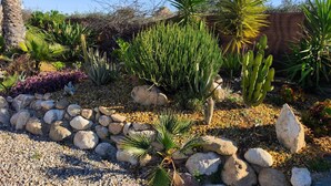 Un jardin désertique avec différentes espèces de cactus et de plantes succulentes, entouré de rochers et d’une clôture en bois.
