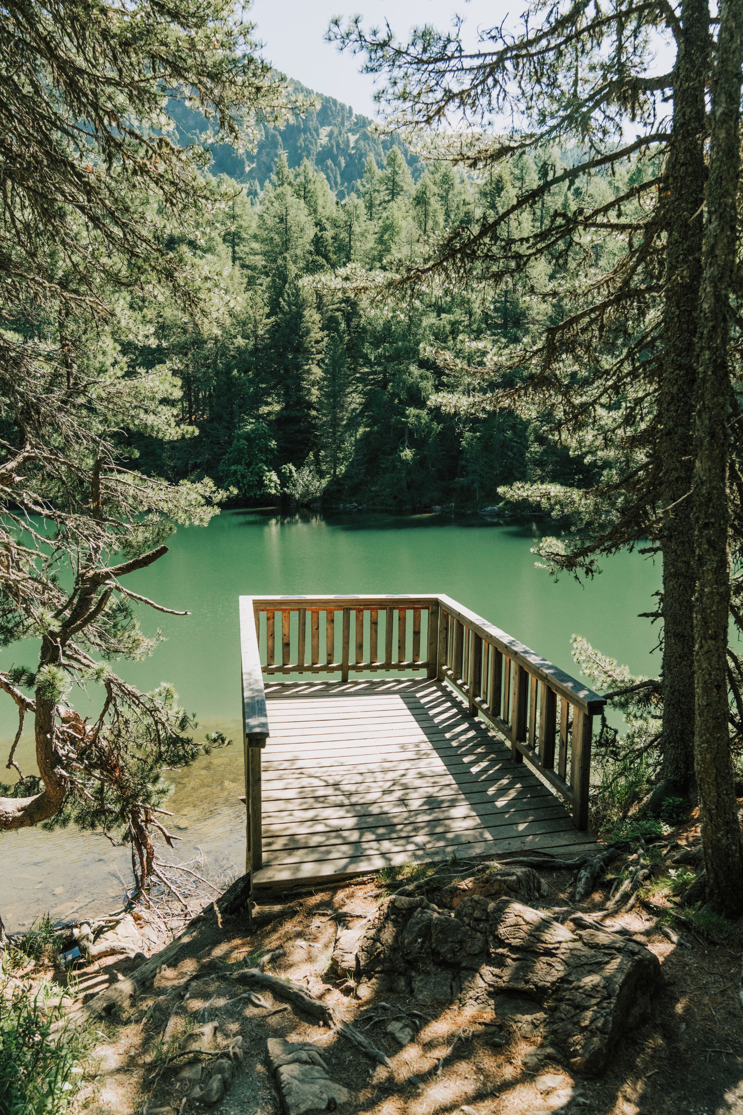 A wooden dock leading to a calm lake surrounded by dense forest.