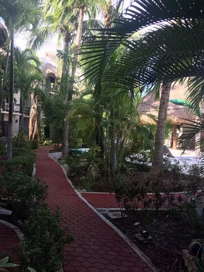 Terrein van de accommodatie