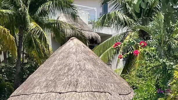Un espace aménagé au bord de la piscine, avec une structure à toit de chaume, des chaises longues et une piscine à l’eau d’un bleu cristallin.