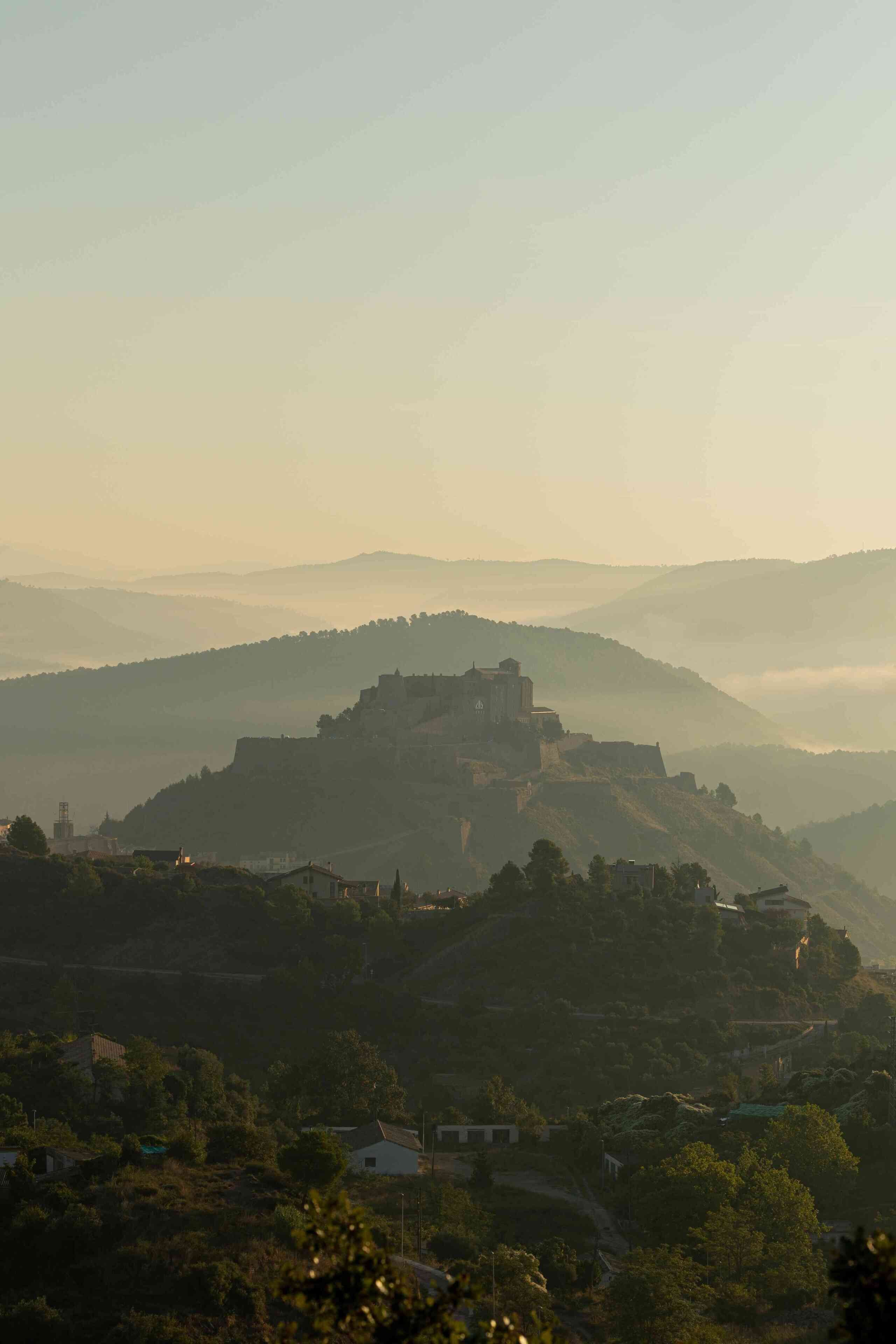 Ein Blick von einem Hügel auf eine historische Burg, umgeben von Grün und einigen Gebäuden.