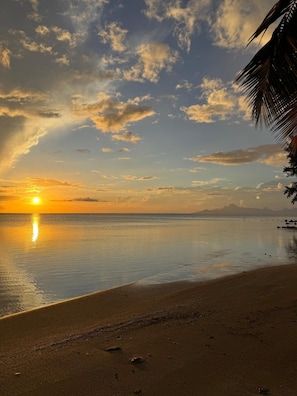 A beach scene with a sunset, calm water, and a palm tree.