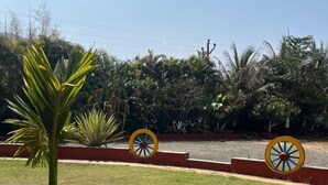Ein Garten mit einer Palme, einer Bank und Zierrädern.