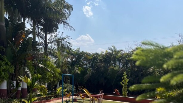 Eine Rasenfläche mit Spielplatz, darunter Schaukeln und eine Rutsche, umgeben von Bäumen und Pflanzen.