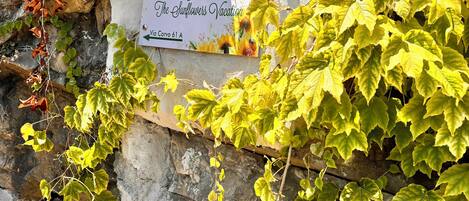 DĂ©tail de lâextĂ©rieur