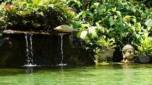 A waterfall, a Buddha statue, and lush greenery.