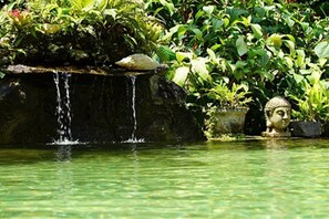 Property grounds - Pousada do Riacho (Paraty)