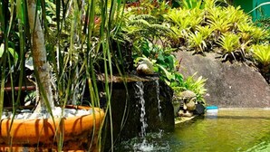 A garden with a water feature, plants, and a rock formation.
