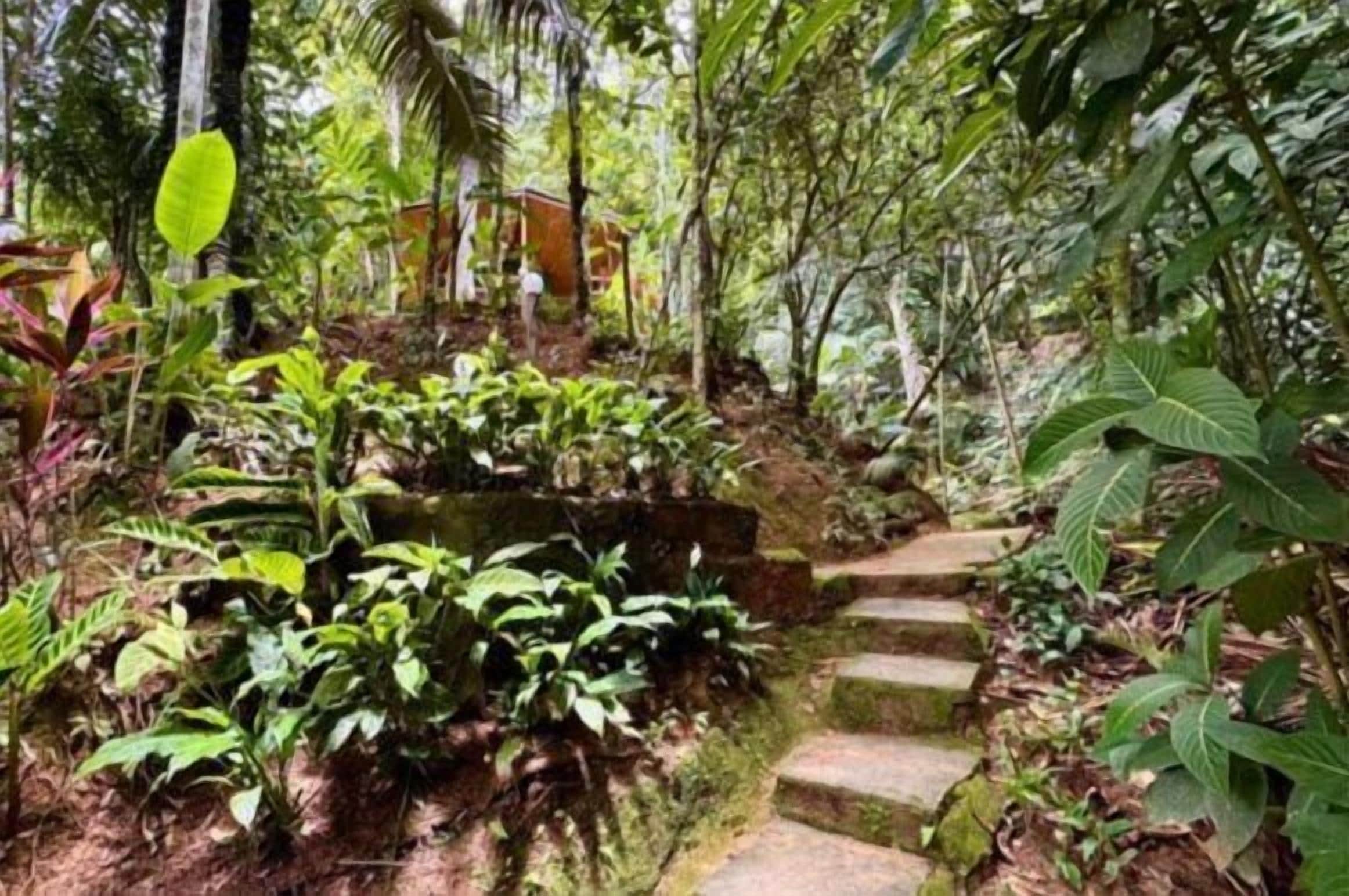 Área da propriedade