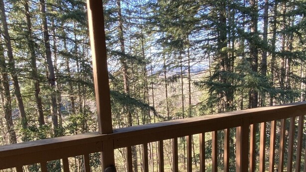 Eine Holzterrasse mit Geländer, die auf einen bewaldeten Bereich blickt.