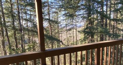 Quiet Country Hillside Retreat 3-bedroom house with AC close to Lebanon