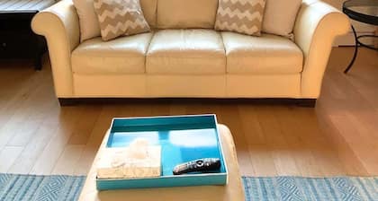 See Aurora and lake from EVERY room - 2bd 2bth