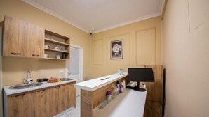 A compact kitchen with wooden cabinets, a white countertop, and a small sink. - Eriks Rooms (Tirana)