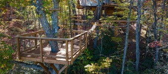 XL Treehouse on 7 Trees with Bridge & Platforms - The Hylo