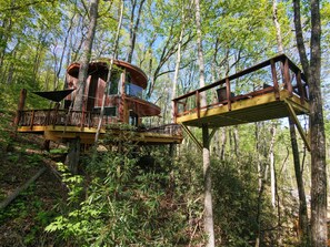 Exterior - Mushroom-Inspired Treehouse with Living Roof - The Mēos (Highlands)