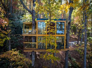 Property grounds - 360° Glass Treehouse in the Canopy - The Cūbus (Highlands)
