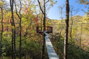 Property grounds - A-Frame Treehouse with Giant Treetop Net - The Carpentree (Highlands)