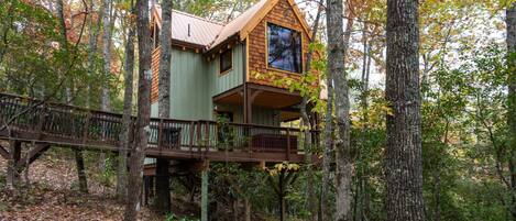 A treehouse with a wooden deck and a metal railing, surrounded by a forest.