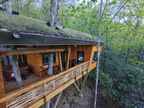 Property grounds - Nest-Shaped Cocoon Treehouse on 4 Trees - The Marsu (Highlands)