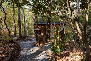 A rustic wooden cabin surrounded by trees, a gravel path leading to it, and a small wooden bridge over a stream. - Nest-Shaped Cocoon Treehouse on 4 Trees - The Marsu (Highlands)