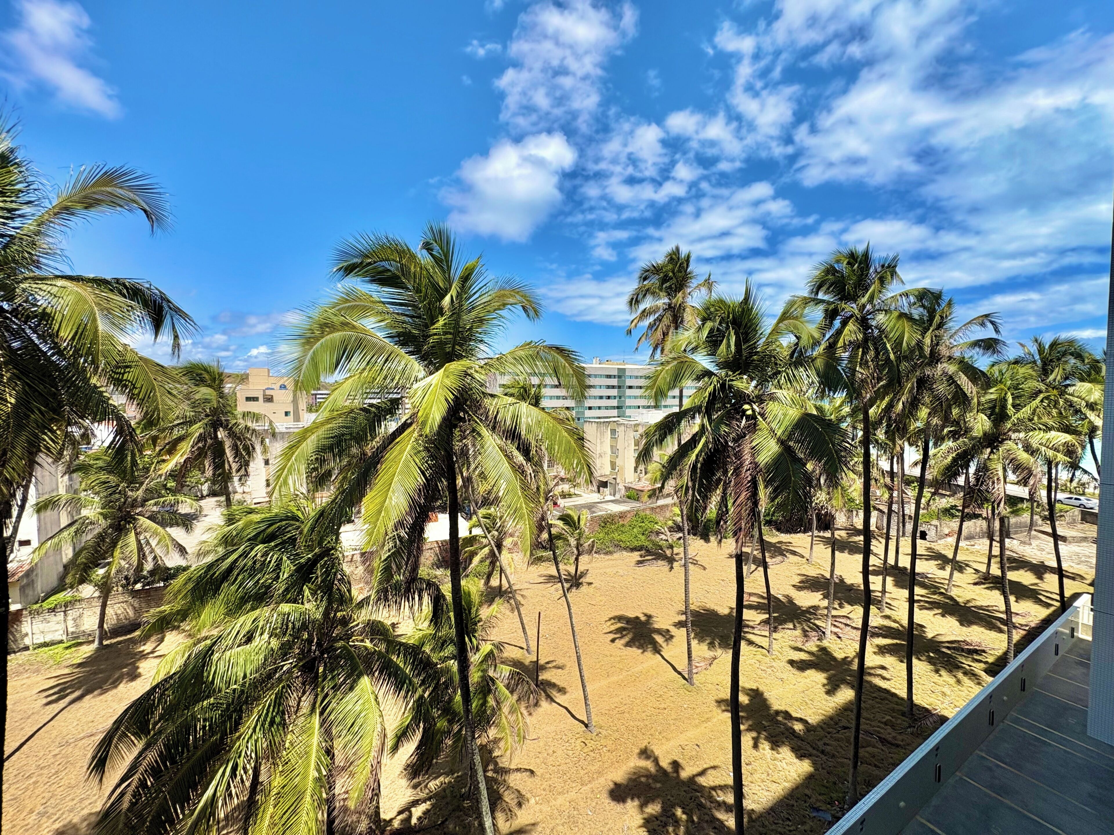 Studio – deluxe, hageutsikt | Overnattingsstedets uteområder