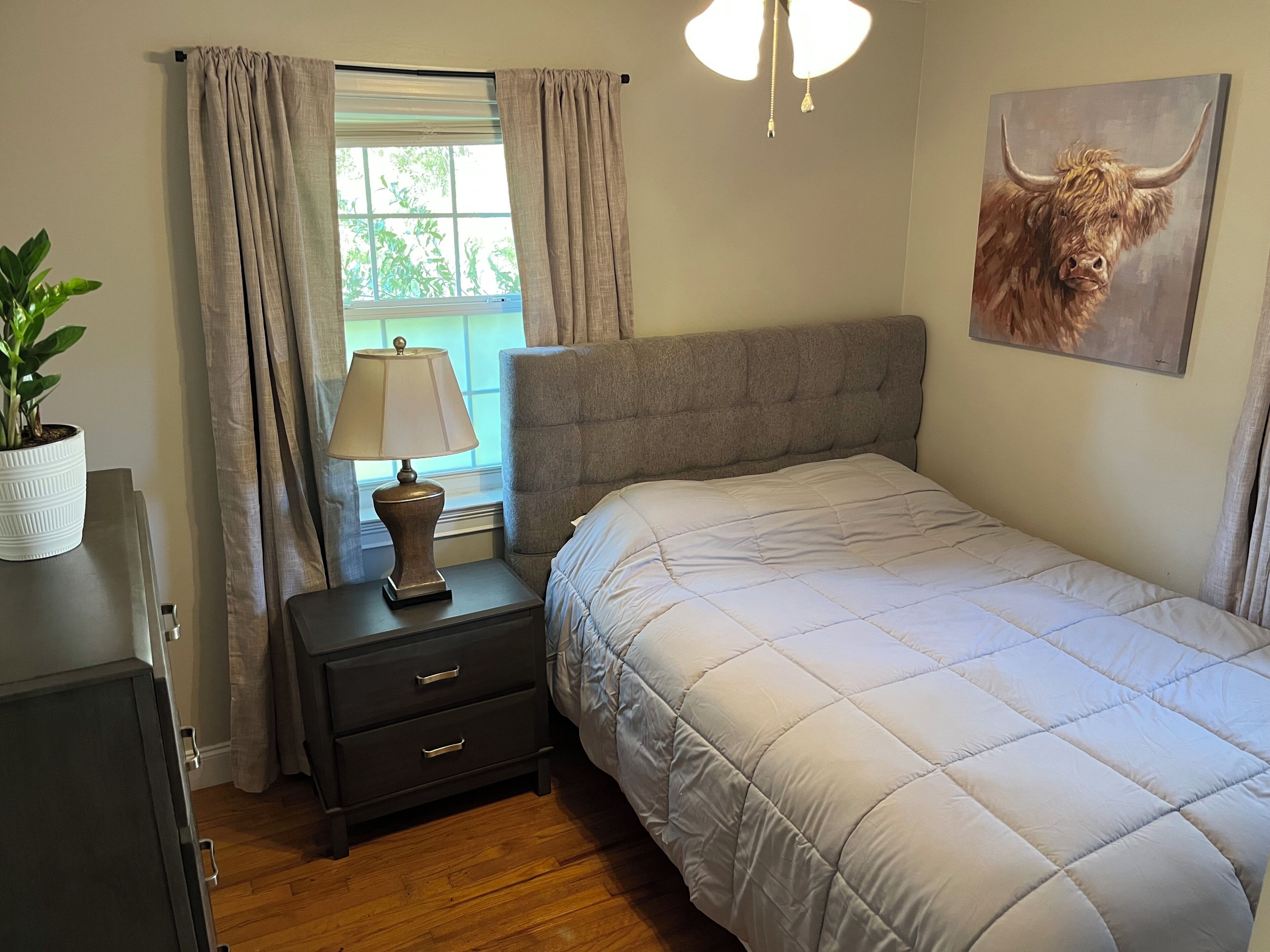 A bedroom with a bed, bedside table, lamp, curtains, a potted plant, and a painting.