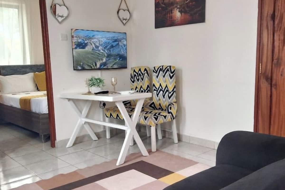 豪華公寓 | 客廳