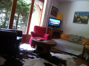 Living area - Garden apartment on rochebrune family chalet private terrace (MEGEVE)